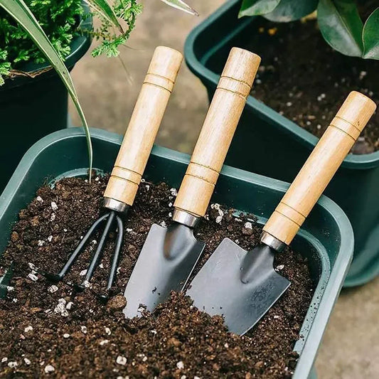 3Pcs/Set Mini Garden Tool Set For Garden Plants